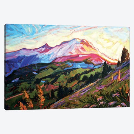 Mt Rainier Canvas Print #JSA12} by Jessica Johnson Art Print