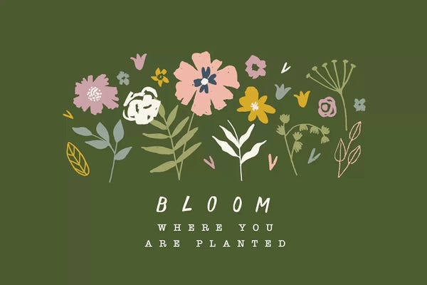 Jessica Bruggink: Botanical Gardens II by Jessica Bruggink