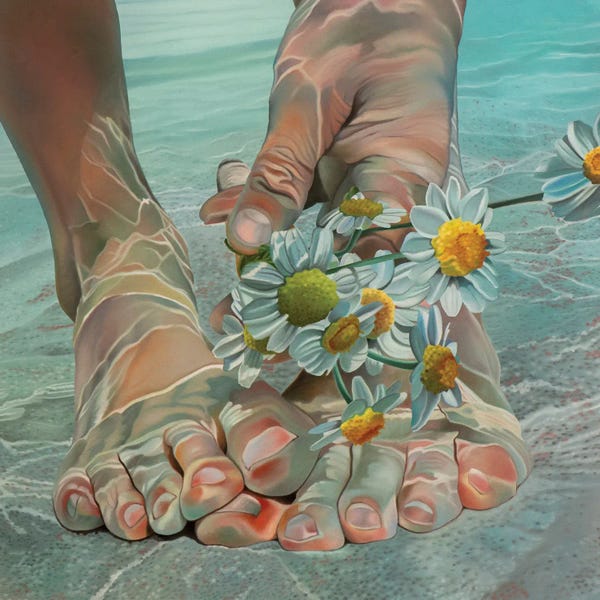 Daisies: Salty Sweet by Josep Moncada