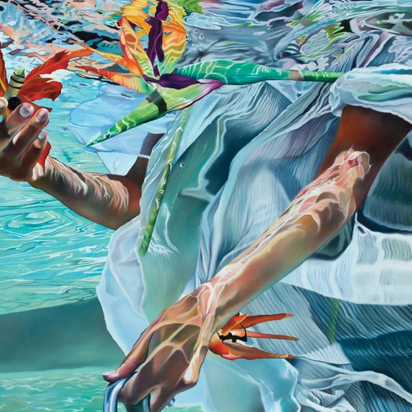 Birds Of Paradise: Angel Wings by Josep Moncada