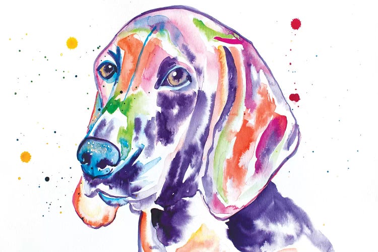 Watercolor Redbone Coonhound