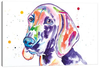 Watercolor Redbone Coonhound Canvas Art Print - Jennifer Seeley