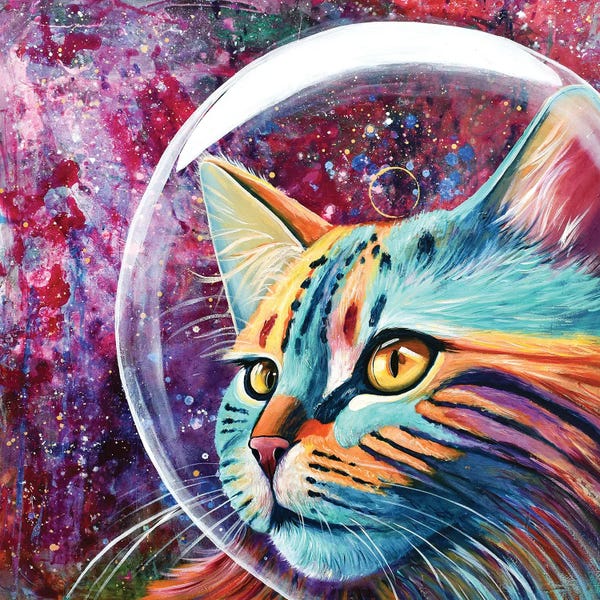 Cosmic Space Cat