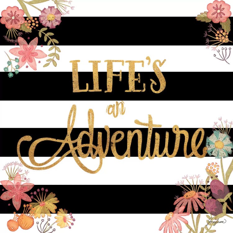 Life's an Adventure by Josefina wall art