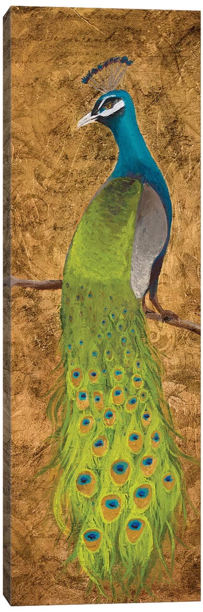 Peacocks I Canvas Art Print - Peacock Art