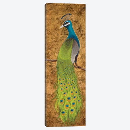 Peacocks I Canvas Print #JSF22} by Josefina Canvas Art Print