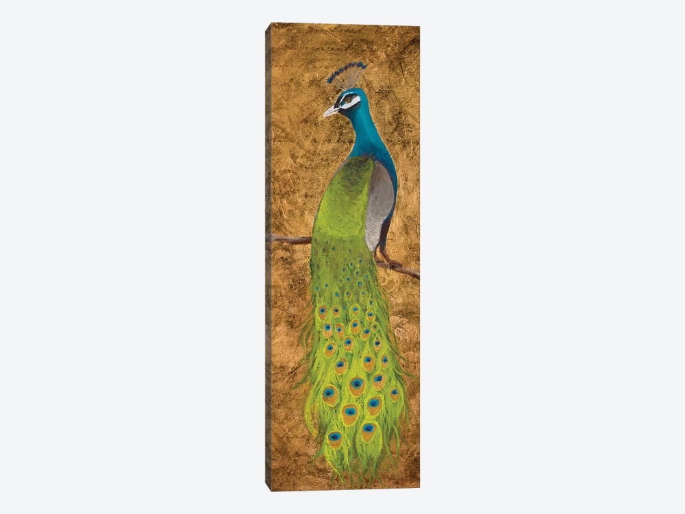 Peacocks I by Josefina 1-piece Canvas Print