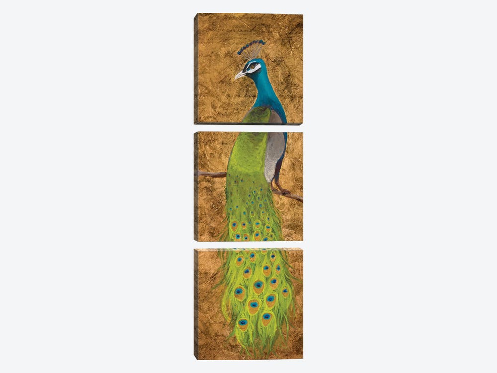Peacocks I by Josefina 3-piece Art Print