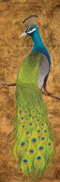 Peacocks: Peacocks I by Josefina