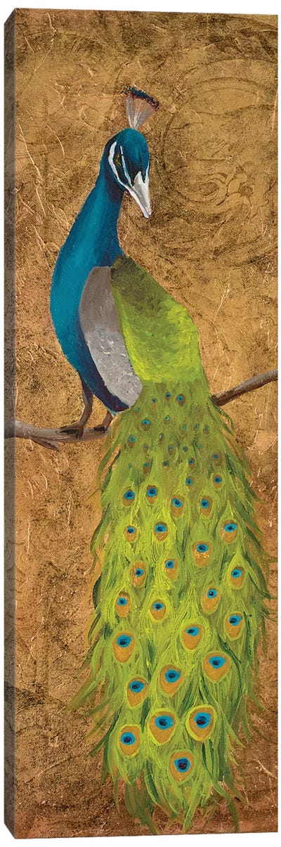 Peacocks II Canvas Art Print