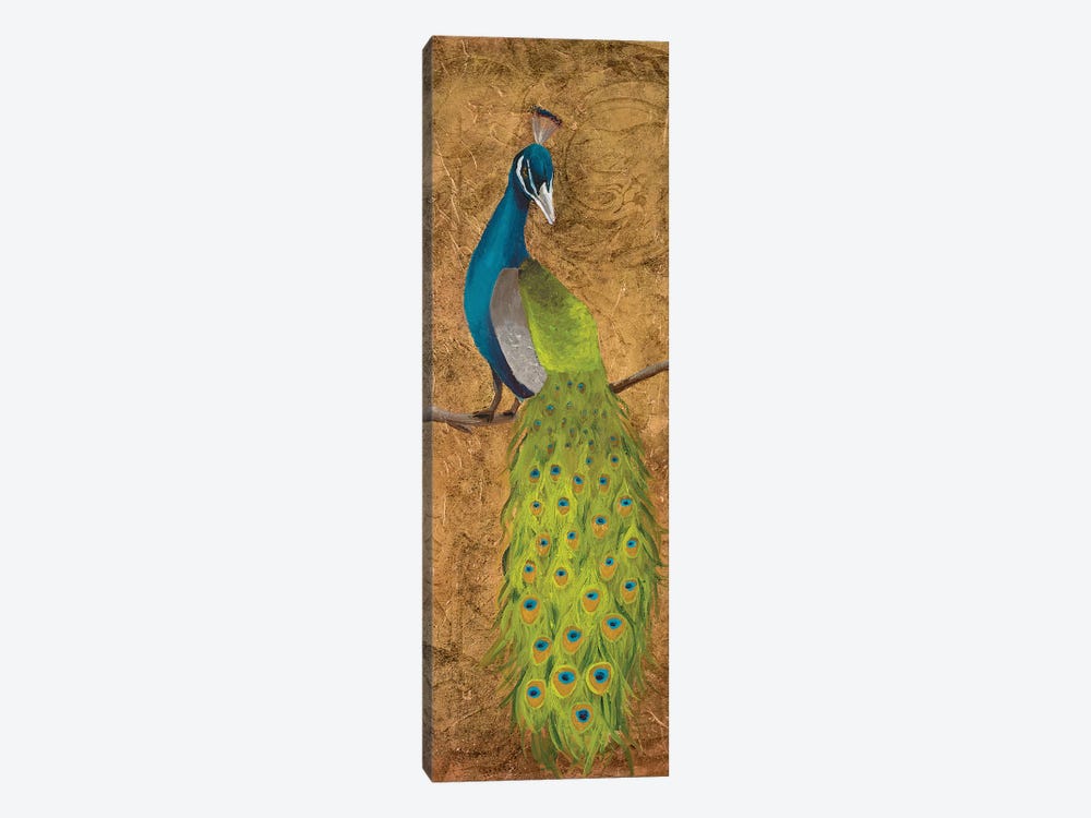 Peacocks II by Josefina 1-piece Canvas Artwork