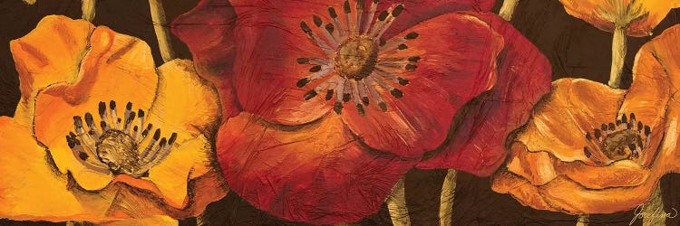 Dazzling Poppies I (black background) by Josefina wall art