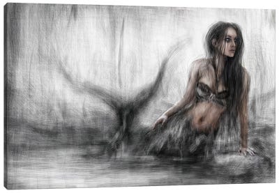 Mermaid Canvas Art Print - Justin Gedak