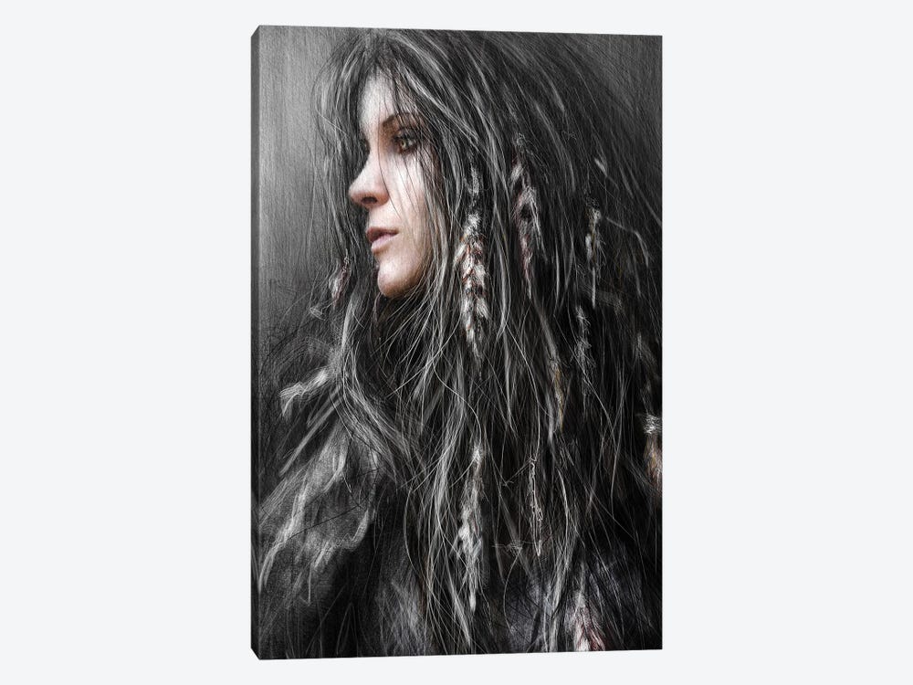 Feathers In Her Hair by Justin Gedak 1-piece Canvas Artwork