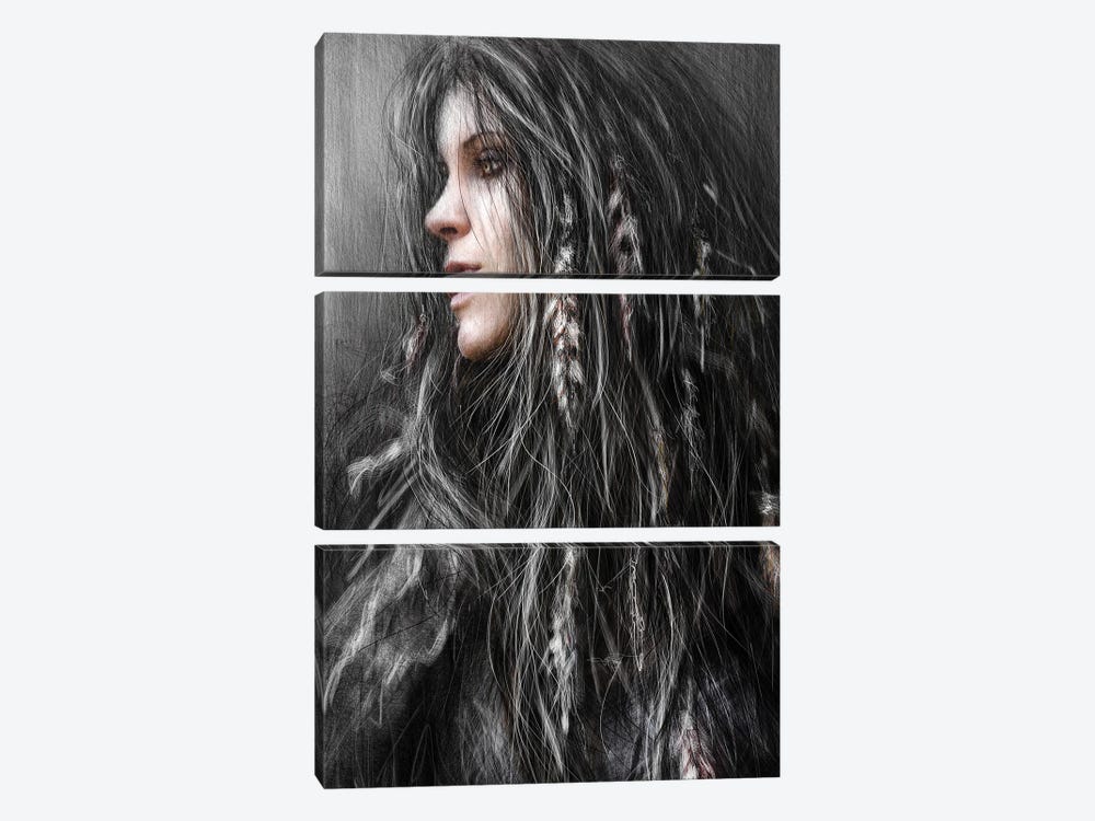 Feathers In Her Hair by Justin Gedak 3-piece Canvas Art