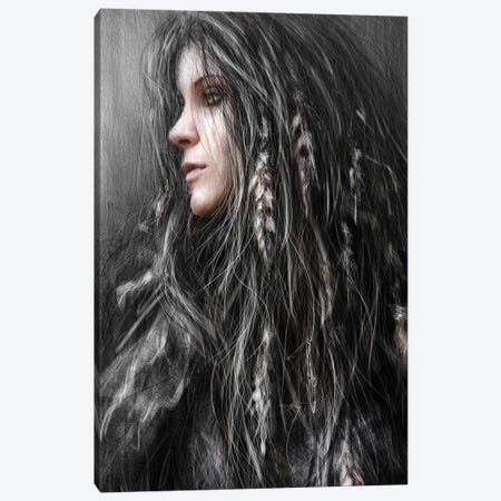 Feathers In Her Hair Canvas Print #JSG2} by Justin Gedak Art Print
