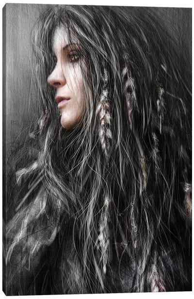 Feathers In Her Hair Canvas Art Print - Justin Gedak