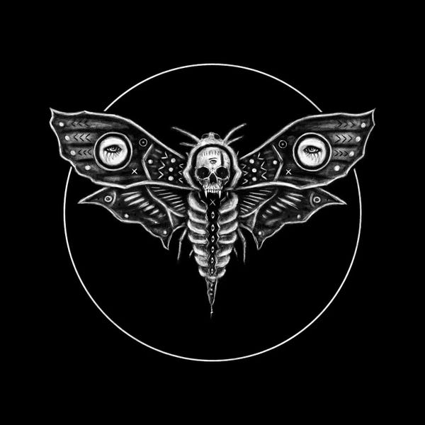 Justin Gedak: Deaths Head Moth by Justin Gedak