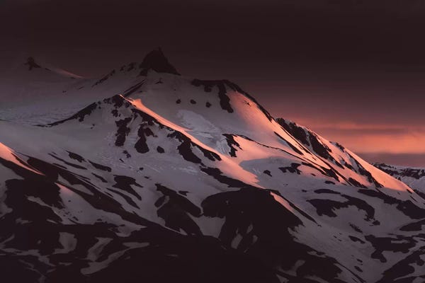 Joe Shutter: First Majenta by Joe Shutter