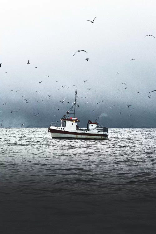 A Lonely Boat