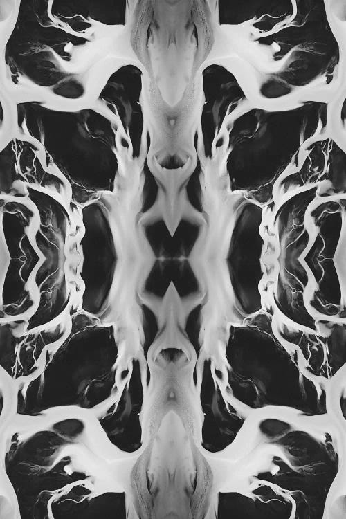 Reflection by Joe Shutter wall art