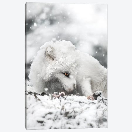 Snacking In The Snow Canvas Print #JSH26} by Joe Shutter Canvas Artwork