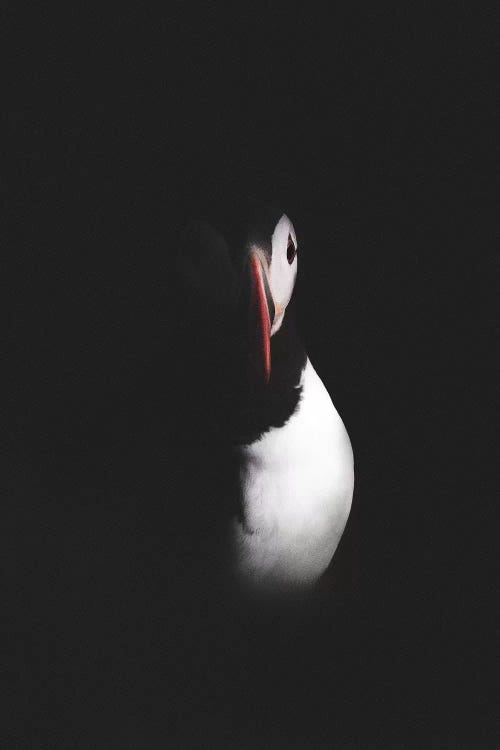 A Moment Of Rest by Joe Shutter wall art