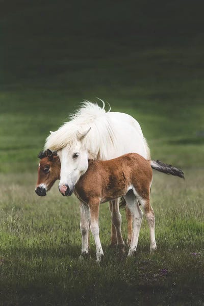 Tenderness by Joe Shutter framed wall art