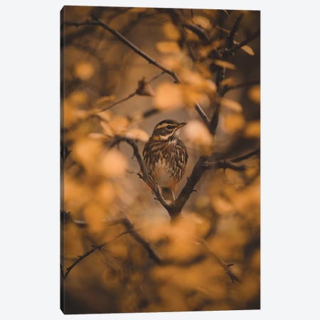 Voices In The Leaves Canvas Print #JSH42} by Joe Shutter Art Print