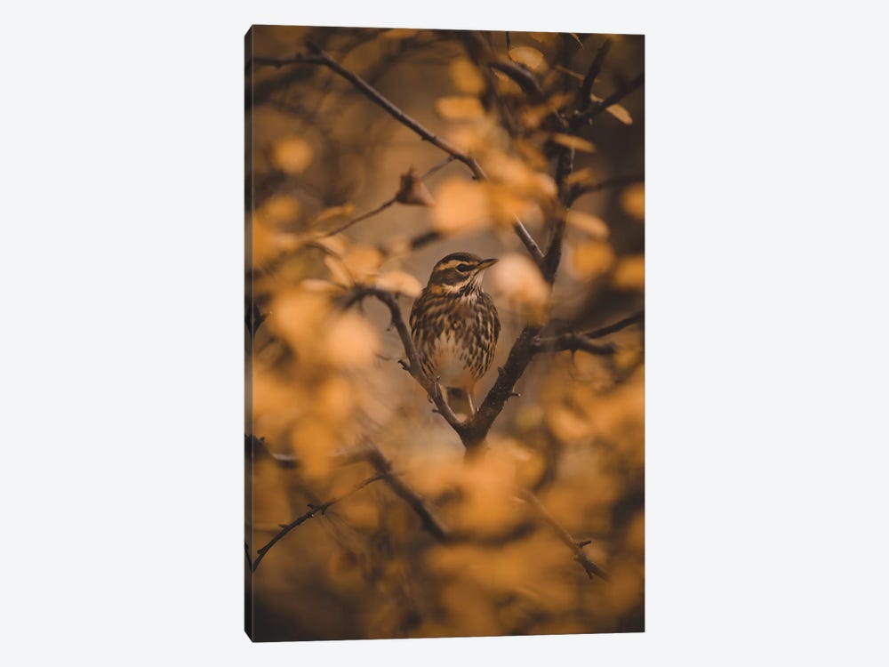 Voices In The Leaves by Joe Shutter 1-piece Canvas Wall Art