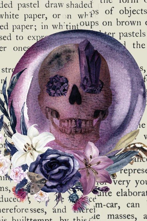 Skull Visions by Jesse Keith wall art
