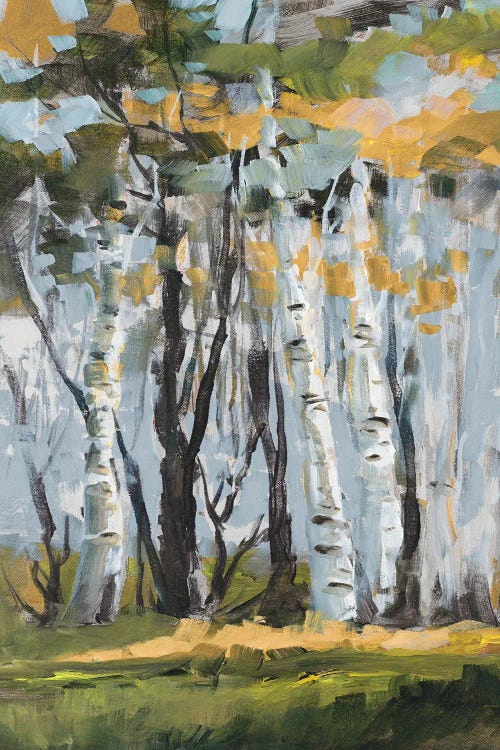 Golden Birch Trees