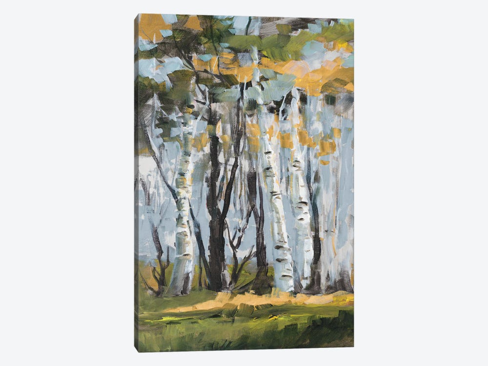 Golden Birch Trees by Jane Slivka 1-piece Canvas Art
