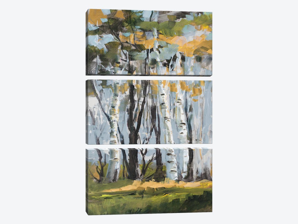 Golden Birch Trees by Jane Slivka 3-piece Canvas Art