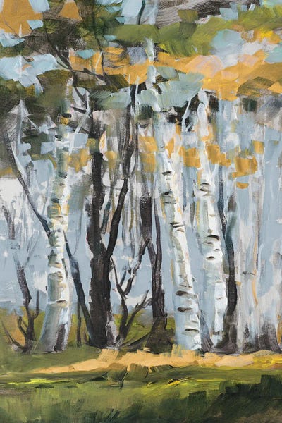 Golden Birch Trees