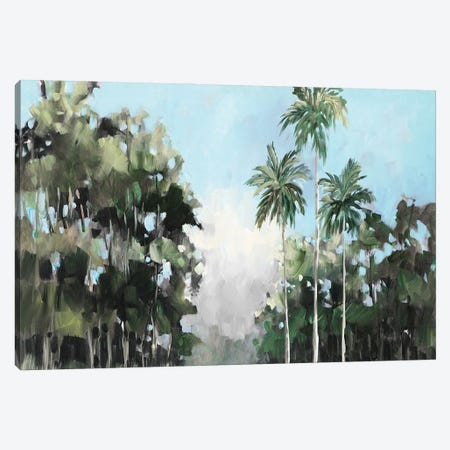 Palms on the Coast Canvas Print #JSL102} by Jane Slivka Canvas Wall Art