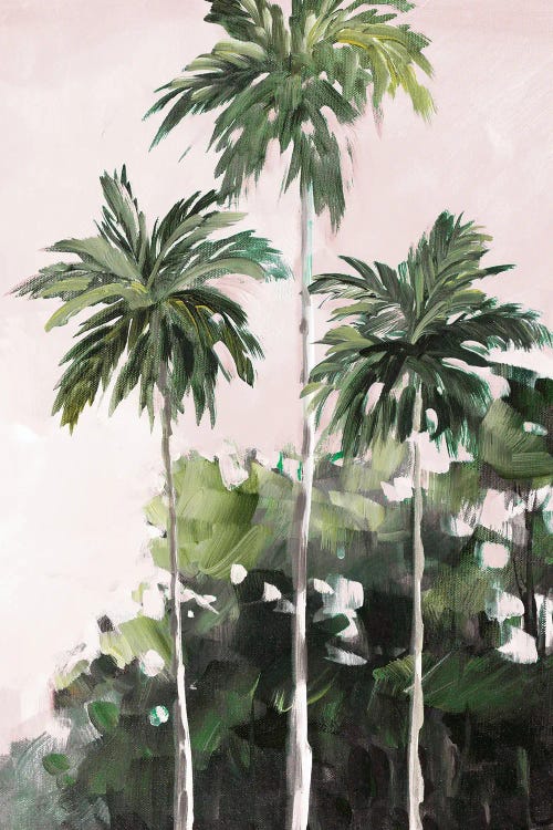 Palms Under A Pink Sky by Jane Slivka wall art