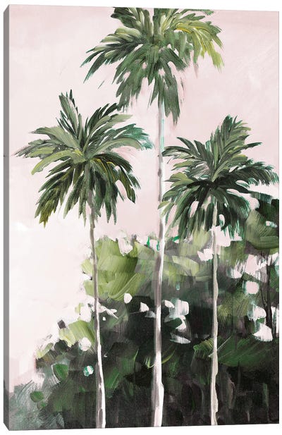 Palms Under A Pink Sky Canvas Art Print