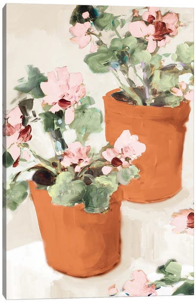 Potted Pink Geraniums Canvas Art Print