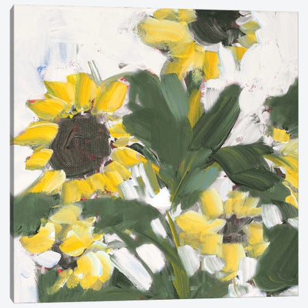 Sunflower Garden Canvas Print #JSL109} by Jane Slivka Canvas Wall Art