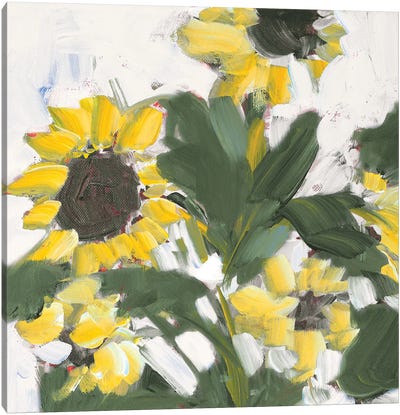 Sunflower Garden Canvas Art Print