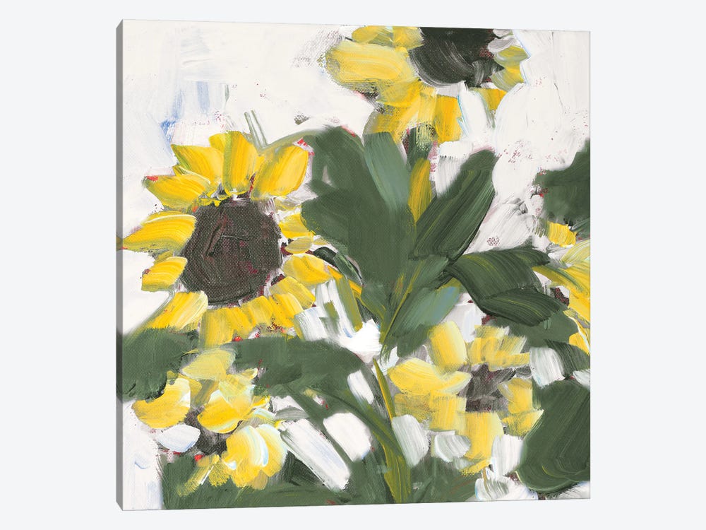 Sunflower Garden by Jane Slivka 1-piece Canvas Art Print