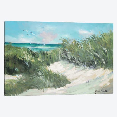 Beach Coast Grass Canvas Print #JSL111} by Jane Slivka Art Print