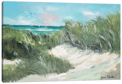 Beach Coast Grass Canvas Art Print