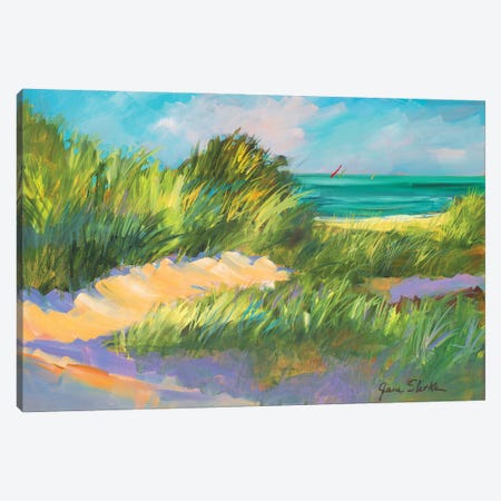 Blue Grass Breeze II Canvas Print #JSL114} by Jane Slivka Canvas Wall Art