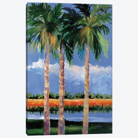 Palm Coast Canvas Print #JSL126} by Jane Slivka Art Print
