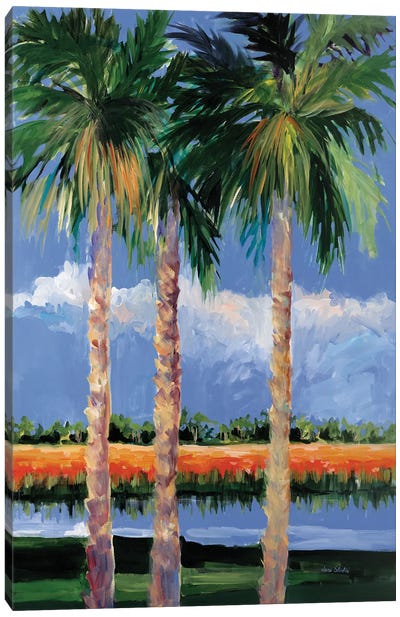 Palm Coast Canvas Art Print
