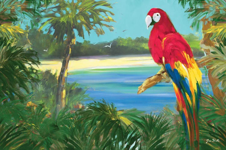 Parrot By The Ocean