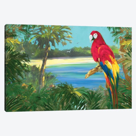 Parrot By The Ocean Canvas Print #JSL127} by Jane Slivka Canvas Print