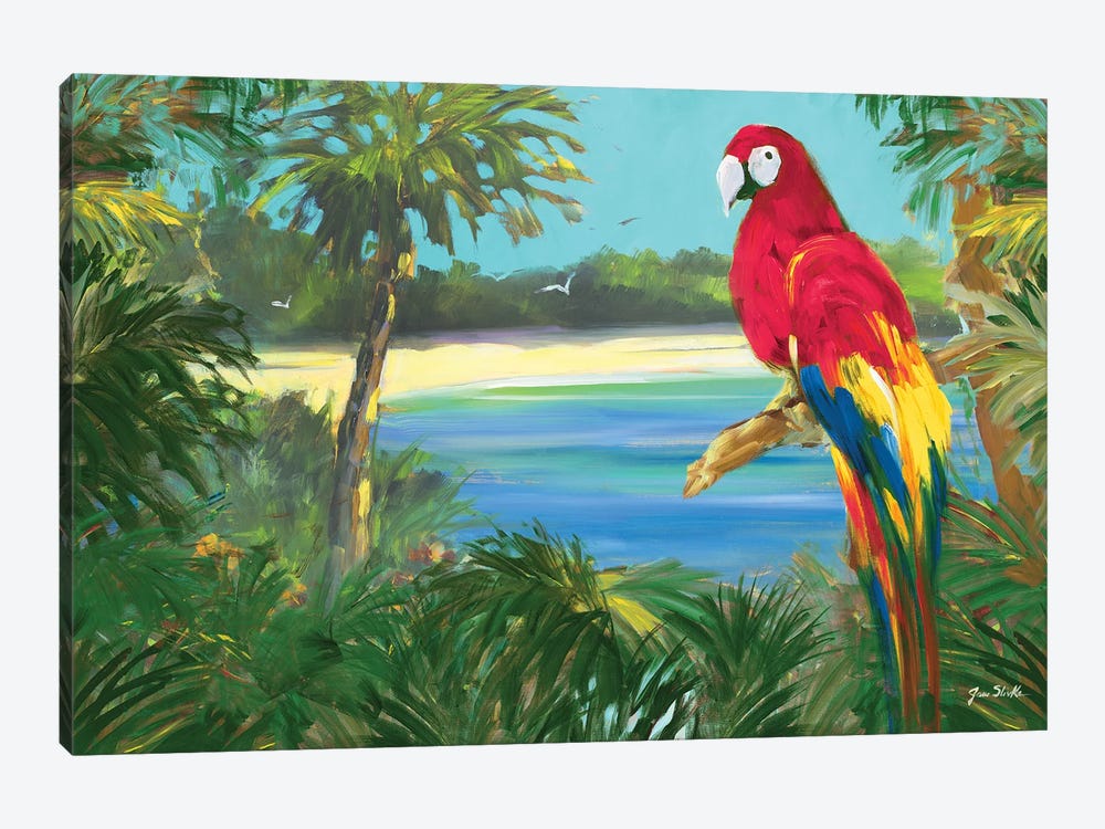 Parrot By The Ocean by Jane Slivka 1-piece Canvas Print